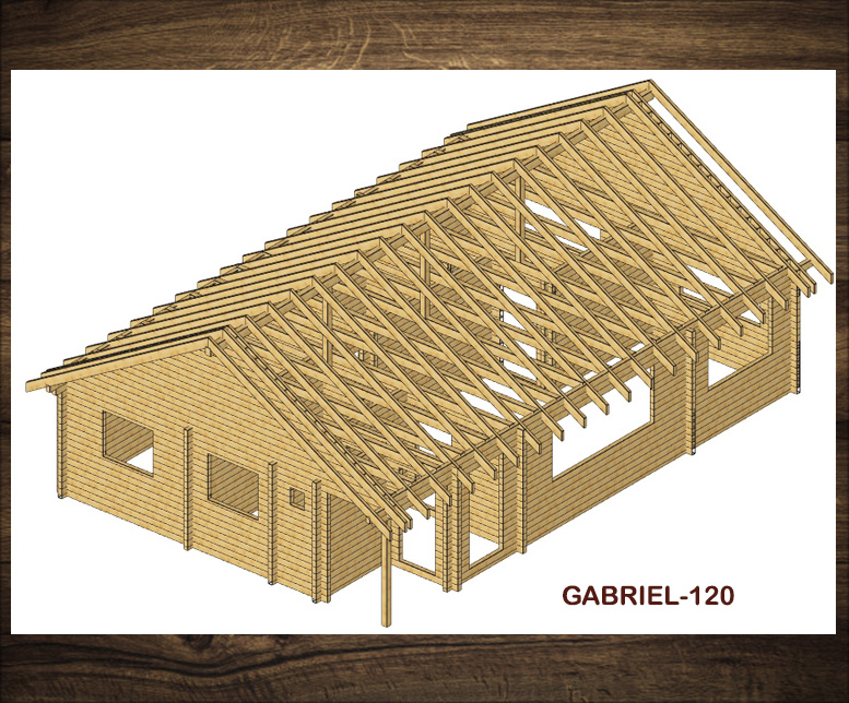 Project Gabriel-120